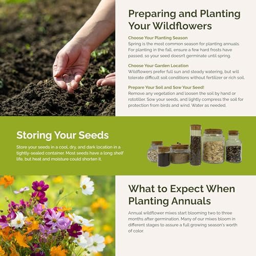 Eden Brothers All Annual Wildflower Mixed Seeds for Planting, 25 lb, 12,00,000+ Seeds with Sunflower, Indian Blanket, Scarlet Flax, Attracts Pollinators, Plant in Spring, Zones 3, 4, 5, 6, 7, 8, 9, 10 - Image 6