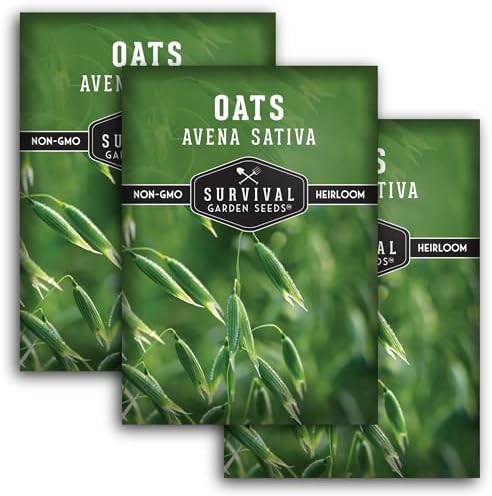 Oat Seeds for Planting - 3 Packs by SurvivalGardenSeeds