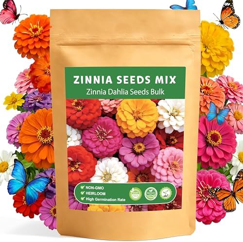 LUOJIBIE Zinnia Seeds for 2027, 6,000+ California Giant Zinnia Seeds Bulk, Double Dahlia Zinnia Mixed Color Seeds, Flower Seeds for Planting Outdoor Garden, Non-GMO Heirloom, Easy to Grow by LUOJIBIE