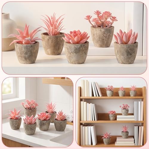 Woration 6Pcs Small Artificial Pink Succulent Set Fake Flocking Succulents Plants Potted Floral Arrangement for Shelf Office Home Desk Decorations - Image 2