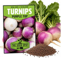 10000+ Turnip Seeds for Planting - Heirloom Non GMO by Unknown