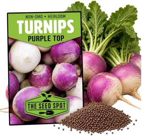 10000+ Turnip Seeds for Planting - Heirloom Non GMO by Unknown