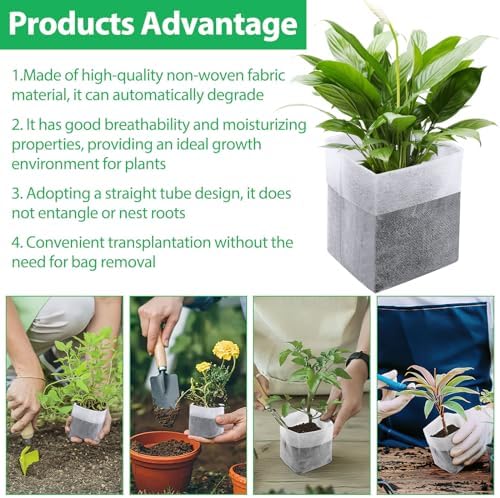 Augshy Nursery Growing Bags, 200Pcs Plant Grow Bags Non-Woven Fabric Seedling Pots Seedling Bag for Planting Seed Starting Pots Pouches for Vegetable Flower Fruit Saplings Tree (5.9" x 6.3") - Image 4