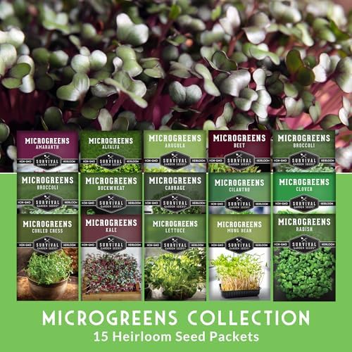 Microgreens Seeds Variety Pack – 15 Heirloom Sprouting Varieties - Image 2