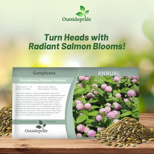 Outsidepride Salmon Gomphrena Seeds - 2000 Pcs Annual, Heat & Drought Tolerant, Pollinator Friendly Globe Amaranth Seeds for Planting w/Vibrant Round Blooms for Beds, Borders, and Arrangements - Image 5
