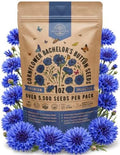 Cornflower Bachelor's Button Tall Blue Seeds for Planting - 1 oz Pack, Approx. 5,500 Centaurea Cyanus Seeds for Outdoor Gardens, Cut Flowers and Pollinator Habitats by OrganoRepublic