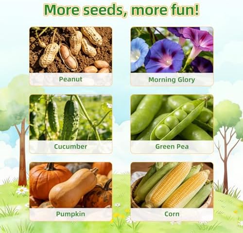 TitaniX Root Viewer Kit for Kids with 6 Seed Varieties, STEM Science Toy & Craft Growing Kits for Boys & Girls, Grow Your Own Plant for Ages 4-8 Birthday Gifts for Boy,4, 5, 6, 7, 8, Year Old - Image 4