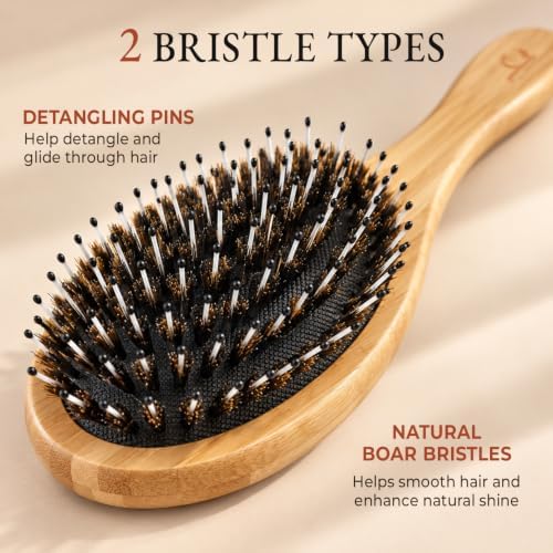 Boar Bristle Hair Brush - Smoothes & Detangles All Hair Types - Image 4