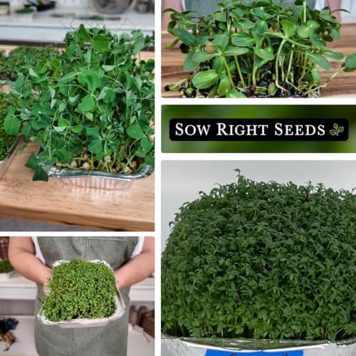 Sow Right Seeds - Large Microgreens Seed Collection for Planting Indoors - Image 4
