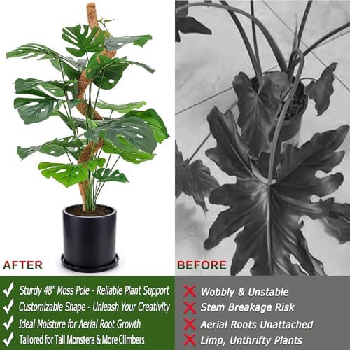 2 Pack 48'' Bendable Moss Pole for Monstera & Pothos - Tall Handmade Coco Coir Plant Support Stakes for Large Climbing Indoor Plants, Potted Houseplant Trellis Accessories - Image 5