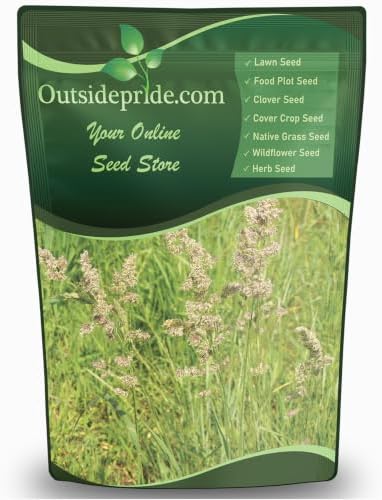 Outsidepride Grazer Orchard Pasture Grass Seed - 25 Lbs. Perennial, Drought & Shade Tolerant, Winter Hardy Fescue Seed for Hay, Grazing, Silage, Greenchop, Goat Feed, & Lawn Use by Outsidepride