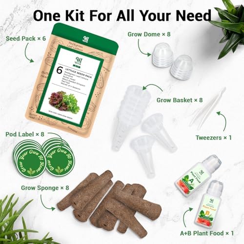 Lettuce Seed Pods for All Hydroponics Growing System, 8 Pods with 600+ Seeds of Romaine/Butter Head/Red&Green Leaf/Black Seeded Simpson/Red Sail and Marvel of 4 Seasons - Image 2