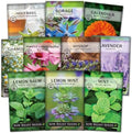 Sow Right Seeds - Large Herbal Tea Seed Collection for Planting Garden by SowRightSeeds