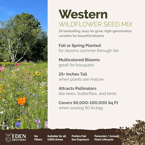 Eden Brothers Western Wildflower Mixed Seeds for Planting, 50 lb, 24,000,000+ Seeds with Cornflower, Blanket Flower | Attracts Pollinators, Plant in Spring or Fall, Zones 3, 4, 5, 6, 7, 8, 9, 10 - Image 2