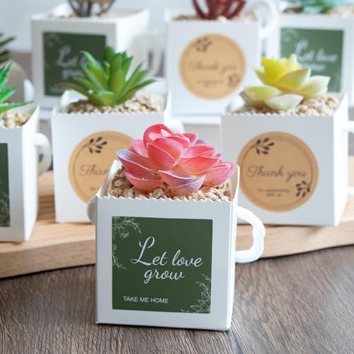 Temlum 2.5 Inch Succulent Wrap Bags (Fits 2.5″ Pots) with Thank You & Let Love Grow Stickers, Small Gift Box for Wedding, Baby Shower, Succulent Party Favors for Guests (White 100pcs) - Image 5