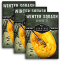 Spaghetti Squash Seeds for Planting - 3 Packs by SurvivalGardenSeeds