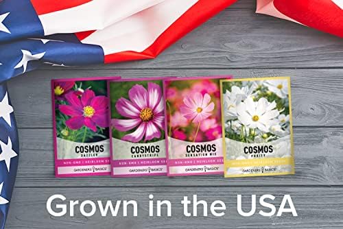 Gardeners Basics, Cosmos Seeds for Planting Outdoors Flower Seeds (4 Variety Pack) Cosmos Candystripe, Sensation Mix, Dazzler, Purity Pink and White Varieties for Bees, Pollinators Wildflower Seed - Image 6