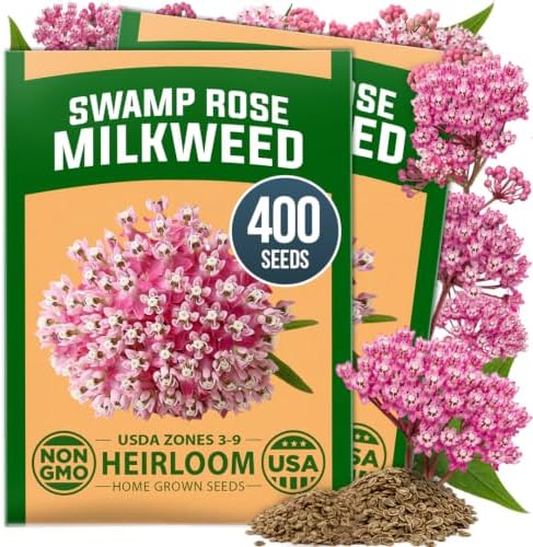 HOME GROWN Milkweed Seeds, Swamp Rose, 400 Seeds, Asclepias incarnata by HOMEGROWN