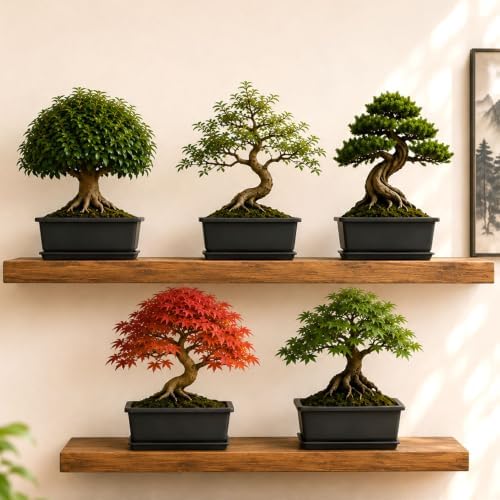 Bonsai Starter Kit for Growing Trees - DIY 5X Unique Japanese Bonsai Trees - Image 5