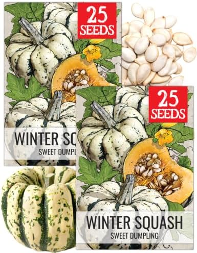 Seed Needs Sweet Dumpling Winter Squash Seeds to Plant Vegetables - 2 Packs by SeedNeeds