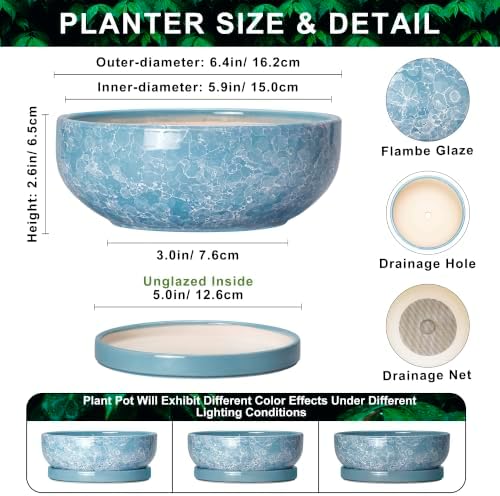 Bonsai Tree Pots 6 Inch, Ceramic Succulent Planters, Droplet Blue - Image 2