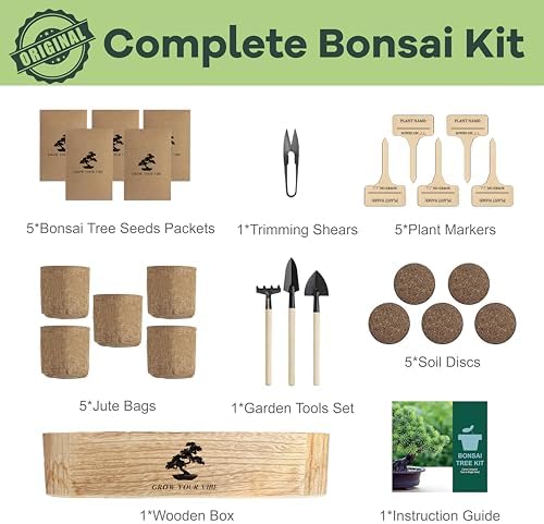 Bonsai Tree Kit for Beginners - Unique Gifts for Women, Crafts for Adults, for Women & Men,Complete Indoor Plant Kit,Easy House Plant - Image 6