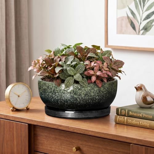 Bonsai Tree Pots, 8 Inch Ceramic Succulent Planter, Speckle Green - Image 6
