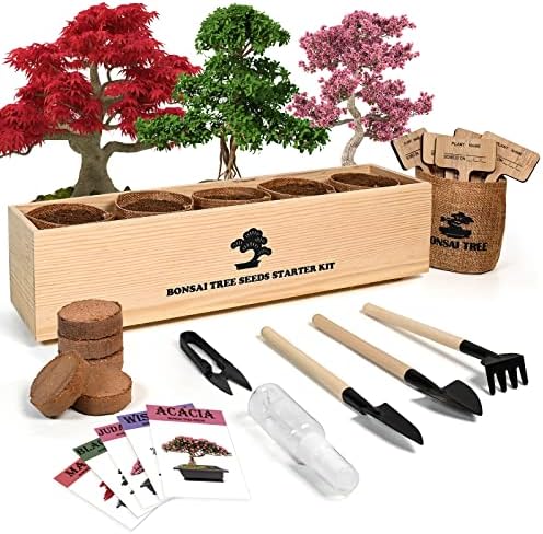 Meekear Bonsai Tree Kit with Complete Growing Starter Kit, Great Potted Growing DIY Gift for Adults by Meekear-BEWITHYOU
