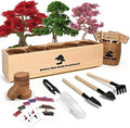 Meekear Bonsai Tree Kit with Complete Growing Starter Kit, Great Potted Growing DIY Gift for Adults by Meekear-BEWITHYOU