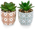 Artificial Plants Succulent Flowers in Ceramic Planter 2 Pack Small Fake Plants Potted for Home Office Desk Decor Farmhouse Living Room Bedroom Shelves Decoration by KarlliuHOMEGARDEN