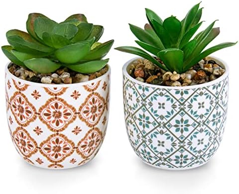 Artificial Plants Succulent Flowers in Ceramic Planter 2 Pack Small Fake Plants Potted for Home Office Desk Decor Farmhouse Living Room Bedroom Shelves Decoration by KarlliuHOMEGARDEN