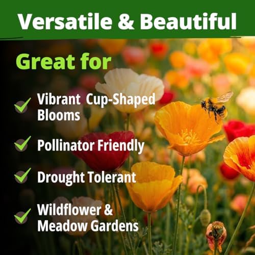 HOME GROWN Formula Mix CaliforniaPoppy 11000 Seeds Eschscholzia californica - Image 5