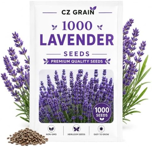 Garden Seeds for Planting, 1,000 Lavender by CZGrain