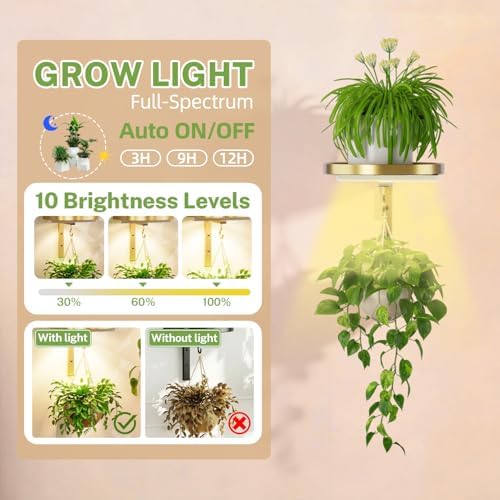 Plant Wall Hanger with Grow Lights Set of 2 for Indoor, Gold - Image 3