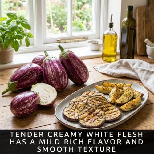 Listada de Gandia Eggplant Seeds for Planting | 100 Seeds | Striped Fruit - Image 3