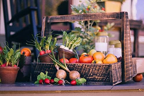 Set of 60 Premium Variety Herbs and Vegetables - Deluxe Garden Choices for Premium Gardening! (60 Premium Seeds) - Image 4