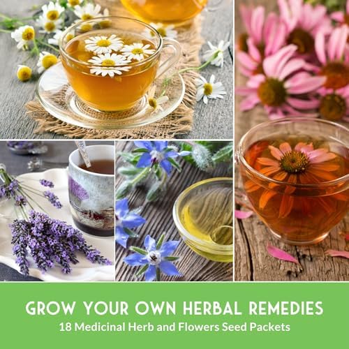 Medicinal Herb Seeds for Planting, 18-Variety Heirloom Non-GMO Pack - Image 5