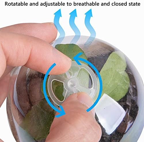 20 Packs Biodegradable Pots with Humidity Dome, 3.1" Seed Starter Peat Pots - Image 4