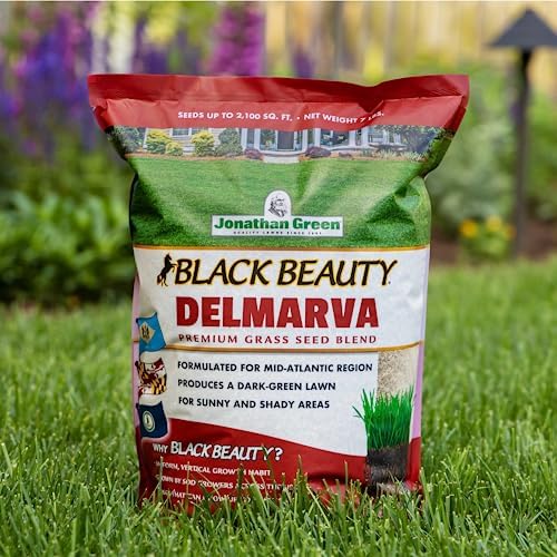 Jonathan Green Black Beauty Delmarva Grass Seed - 7 lb - Image 6