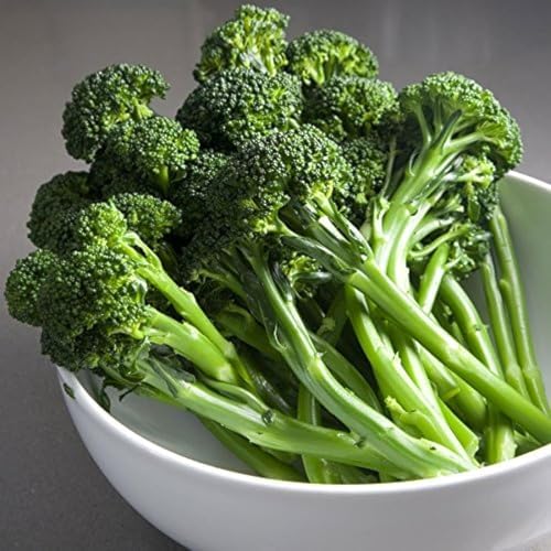 Park Seed Variety of Broccoli Plant Seeds, Artwork Hybrid, Pack of 100 by ParkSeed