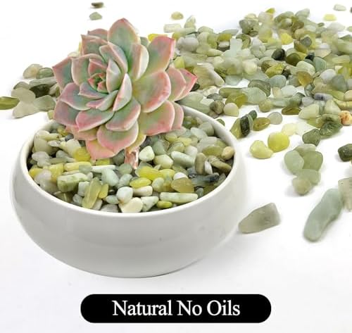 2LB Succulent Jade Pebbles for Indoor Plants, 3/8 Inch Natural Decorative Polished Stones, River Rocks for Landscaping,Vase, Flowerpot Decoration, Indoor Decoration and Garden Decoration - Image 3