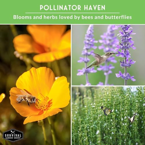 Drought Tolerant Herb and Flower Seeds for Planting - 8 Variety Pack - Image 5