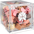 KANPRINCESS 70PCS Mini Hair Clips With Fancy Box Classics Small Claw Clips For Women And Girls Hair Accessories For Gift(SET2) by KANPRINCESS