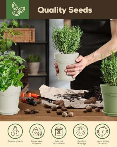 Unique Gift for Women, Mom, Friend – 8 Herb Indoor Window Garden Kit - Image 3