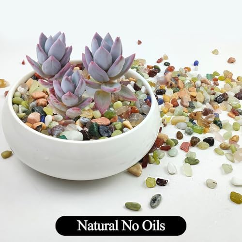 5LB Colorful Pebbles for Succulent, 3/8 Inch Natural River Rocks for Plants, Natural Decorative Polished Pebbles for Cactus,Vases, Planters,Outdoor Gardening and Indoor Plants - Image 3
