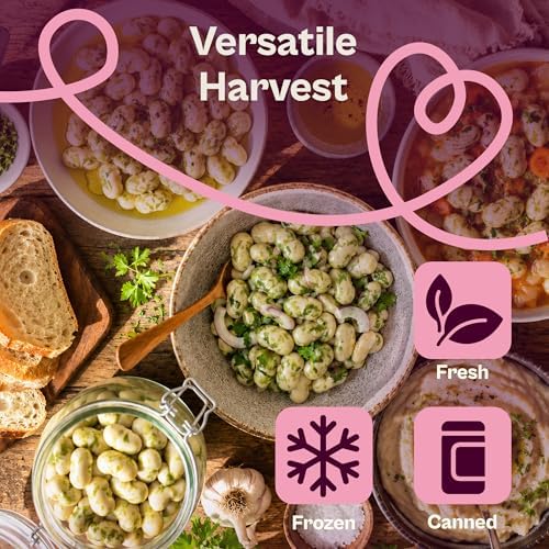 SVI 50 Rattlesnake Beans Seeds (Phaseolus vulgaris) – String Green Bean Seed Packets, Heavy Producing Green Beans – Non GMO Heirloom Vegetable Seeds for Trellis Home Garden & Outdoor Vegetable Garden - Image 4