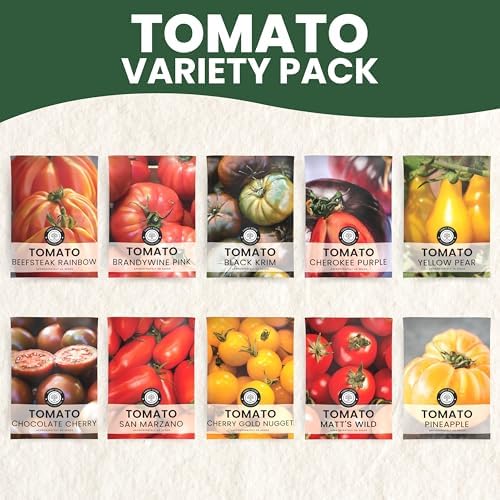 Tomato Seeds | 10 Individual Packs | 2026 Season | Non-GMO | Roma, Brandywine, Cherry & More! | for Planting Indoor & Outdoor | by Family Sown - Image 3