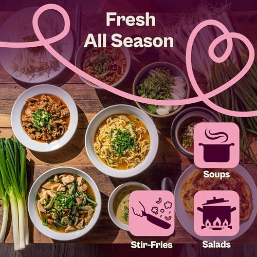 SVI 500 Bunching White Onion Seeds For Planting (Allium fistulosum) – Green Onion Seed Packets, Bunching Scallions Seed, Cebolla – Heirloom Vegetable Seeds for Planting Outdoors Home garden Containers - Image 4