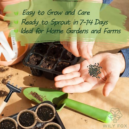 Premium Okra Seeds - 100 Heirloom Seeds for Planting, Non-GMO, High Yield, Fast Growing, Heat-Resistant Vegetable Seeds for Home Garden & Outdoor Planting - Fresh, Crisp & Flavorful Okra - Image 4