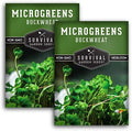 Buckwheat Sprouting Seeds - Survival Garden Seeds (2 Pack) by SurvivalGardenSeeds